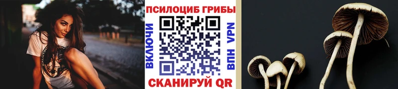 Галлюциногенные грибы MAGIC MUSHROOMS  как найти закладки  Кингисепп 