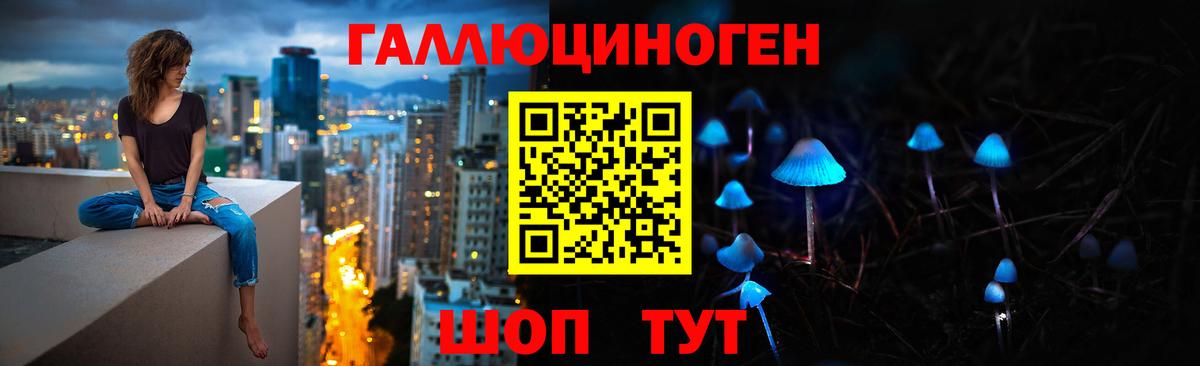 Галлюциногенные грибы Cubensis  Псилоцибиновые грибы Psilocybine cubensis  Вход с VPN  Кингисепп 